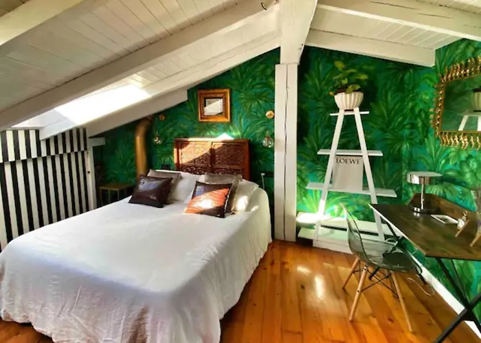 Apartment Moderno Duplex 3 En Centro De Con Wifi *